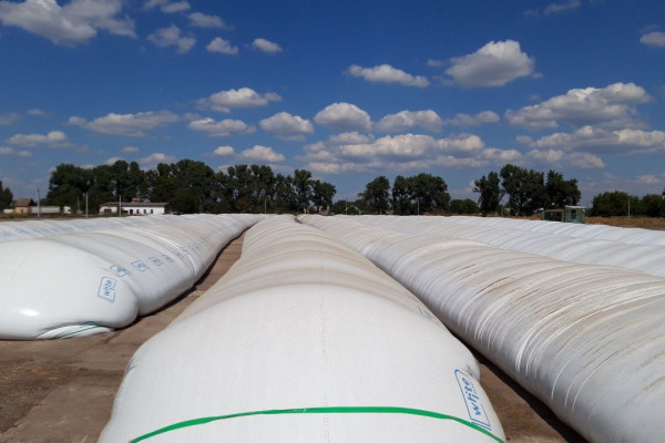 Майновий комплекс 10 га з елеватором на 19 000 тон зерна в Київській області 